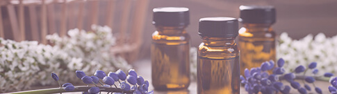 面接・お店見学